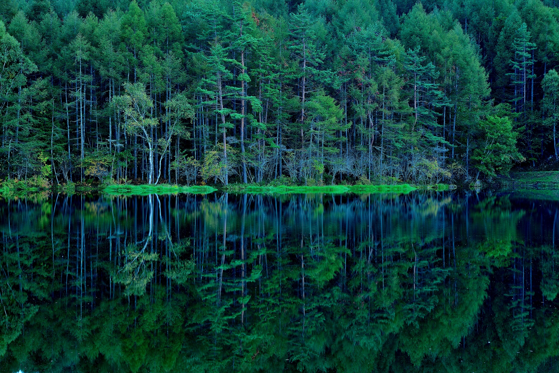 木々と湖の写真